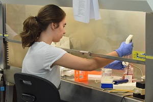 using the fume hood