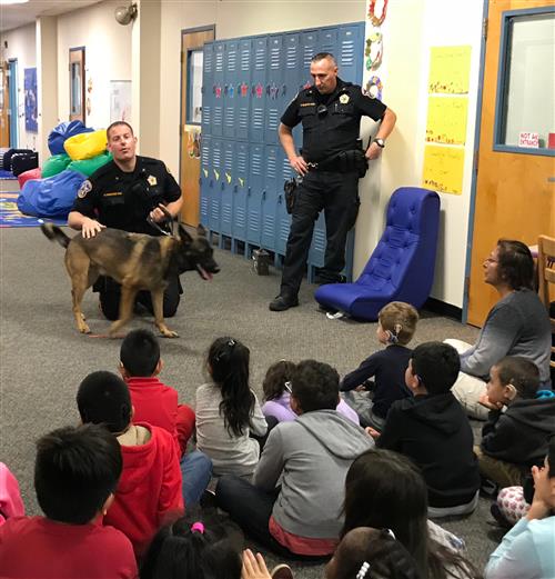 K9_1 