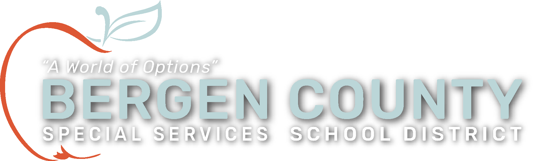 Bergen County Special Services